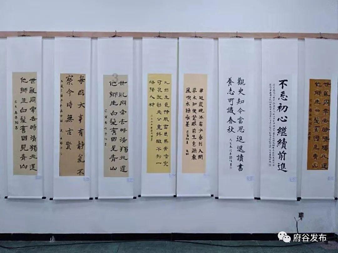 拯救老科学家